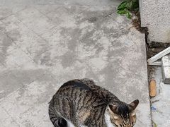 -三溪村