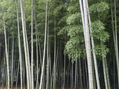-同里国家湿地公园