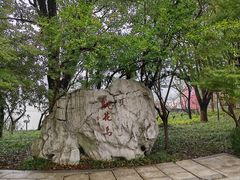 -金鸡湖桃花岛