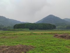 -八卦田遗址公园