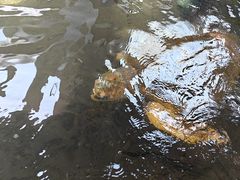 -硇洲岛旅游区
