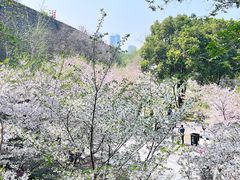 -鸡鸣寺