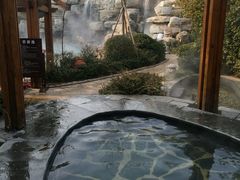 -仁爱团泊湖温泉中心