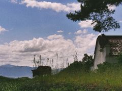 -杨家堂村