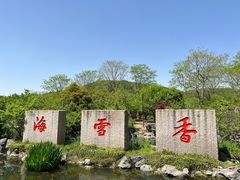 -香雪海