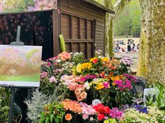 -上海共青森林公园