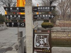 -大槐树寻根祭祖园