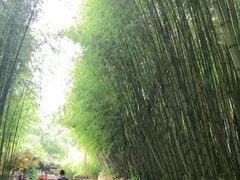 -竹泉村旅游度假区