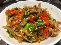 鸭掌筋-壹盏灯(惠农店)