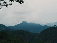 -九曲溪