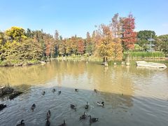 -海珠湖公园