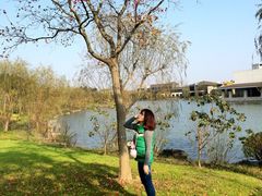 怡沁园度假村-上海怡沁园度假酒店