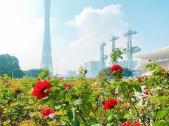 -海心沙亚运公园