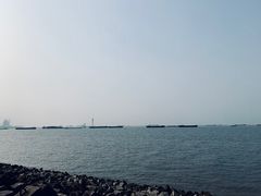 -上海滨江森林公园