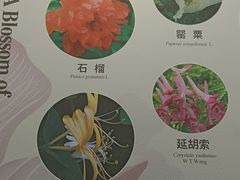-北京中医药大学-中医药博物馆
