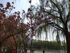 -昆山城市生态森林公园