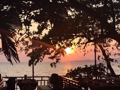 -卷心菜和避孕套餐厅(Pattaya)