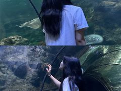 -南昌海洋公园