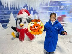 -厦门方特梦幻王国