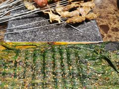 -冰城小镇音乐串吧·聚会餐厅(百子湾店)