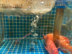 -庆赫隆融合菜馆(群力店)