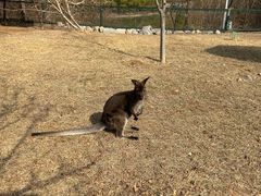 -济南野生动物世界
