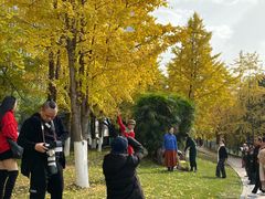 -重庆市江北嘴中央商务区中央公园