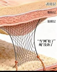 -星港国际·Skin皮肤专研·皮肤管理