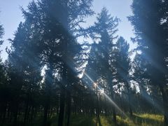 -塞罕坝国家级自然保护区