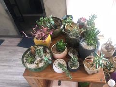 -SAH健身私教工作室(紫东店)