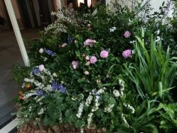 -祖·玛珑