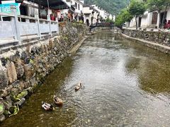 -绩溪龙川景区