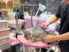 -FAELING PETS美天灵宠物(富力广场店)