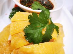 白切散养鸡-930私房菜(欧阳路店)