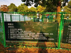 -上海月湖雕塑公园