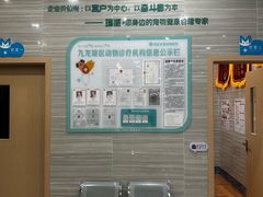 -瑞派名望志远动物医院·猫科·內科·异宠专科(直港大道店)