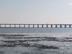 -宝安西湾红树林湿地公园