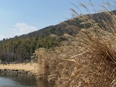 -南北湖风景区
