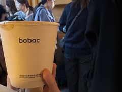 -BOBAC