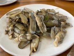 -小叶大馅饺子城