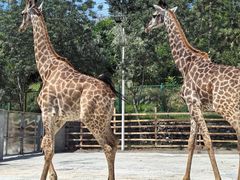 -水上乐园·欢乐世界