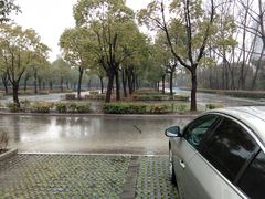 -金匮公园-南入口停车场