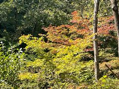 -大连天门山国家森林公园