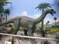 -国家自然博物馆