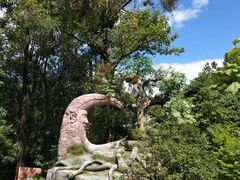 -蝴蝶泉公园