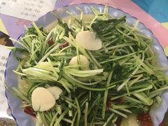 -泸沽肴(泸沽湖大洛水村农村信用社旁店)