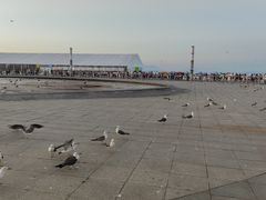 -东港音乐喷泉广场