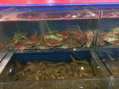 胶东海鲜渔岛情(牡丹园店)-胶东海鲜大排档(北太平庄店)