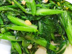 炒油菜-长平肥姐白粥·海鲜打冷