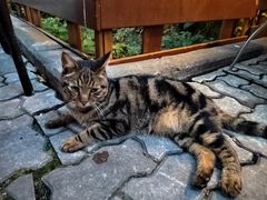 -宝莱纳餐厅(滨江店)